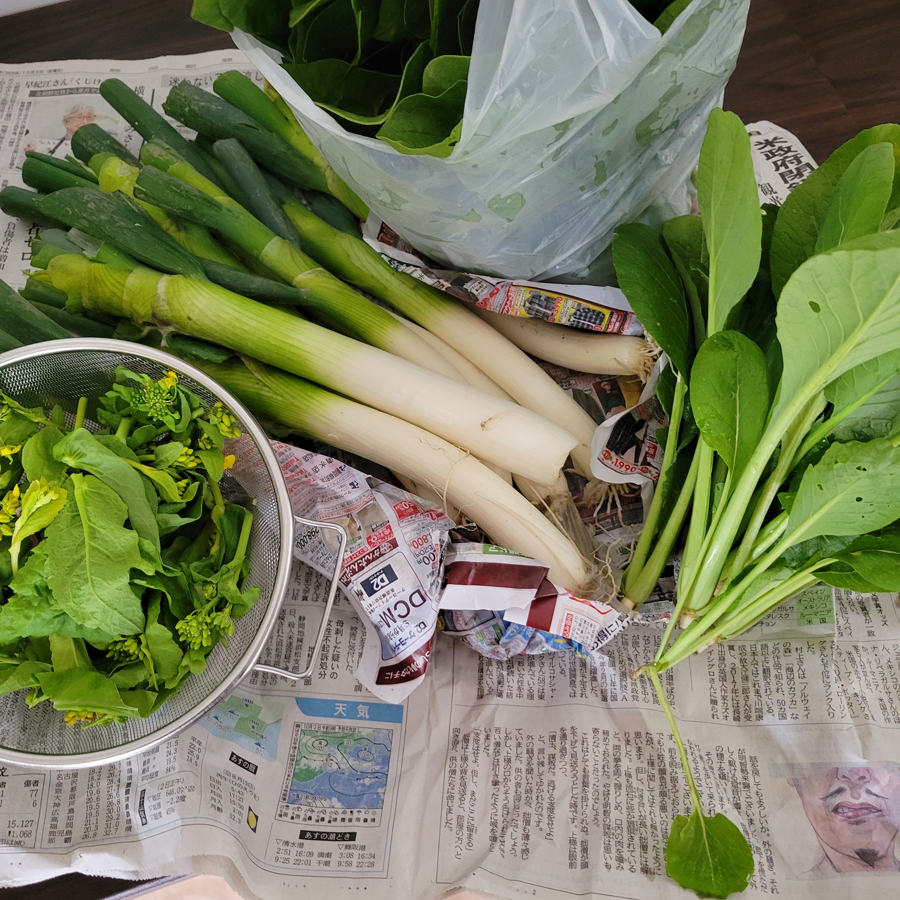 実績と参加者の声