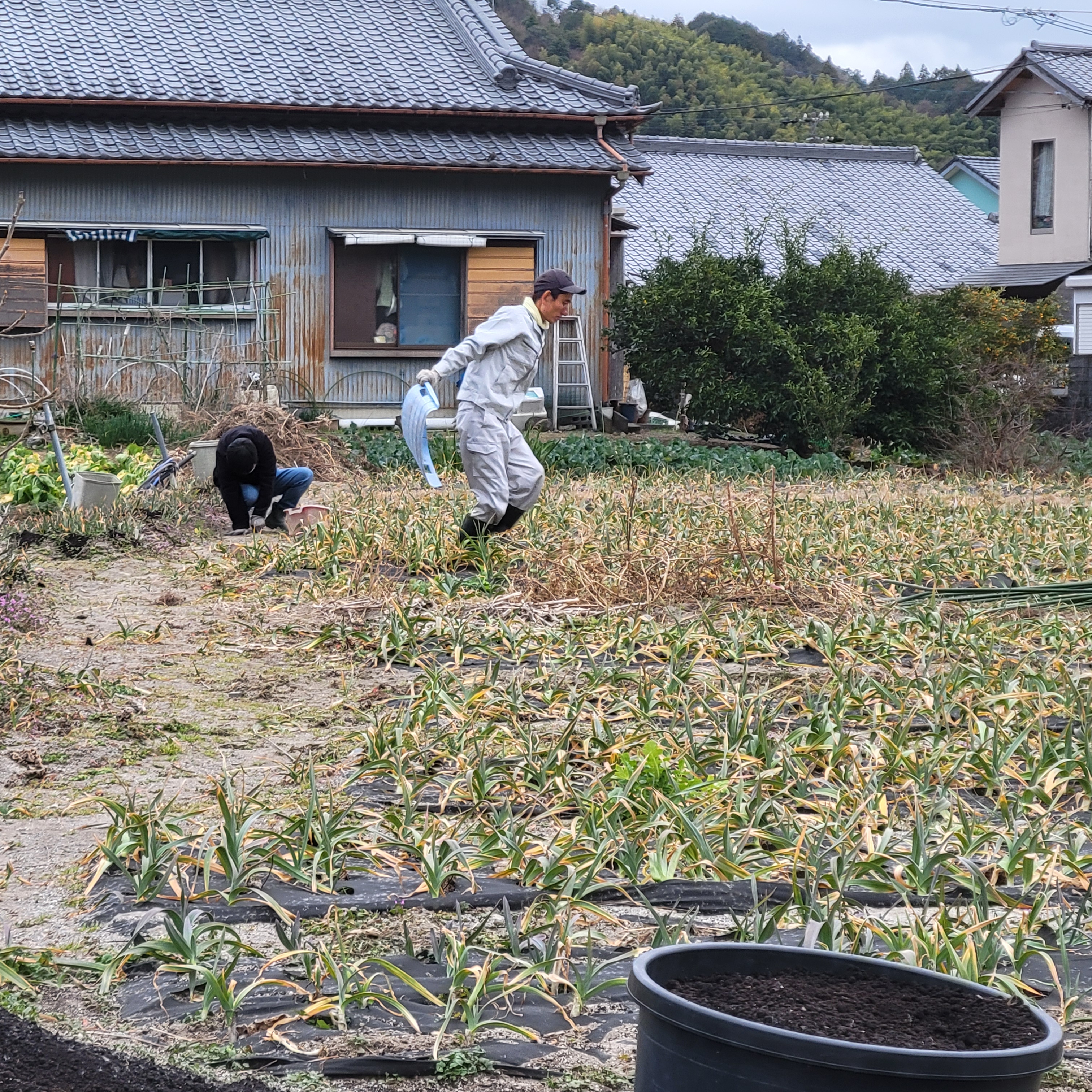 職業訓練で得られるスキル