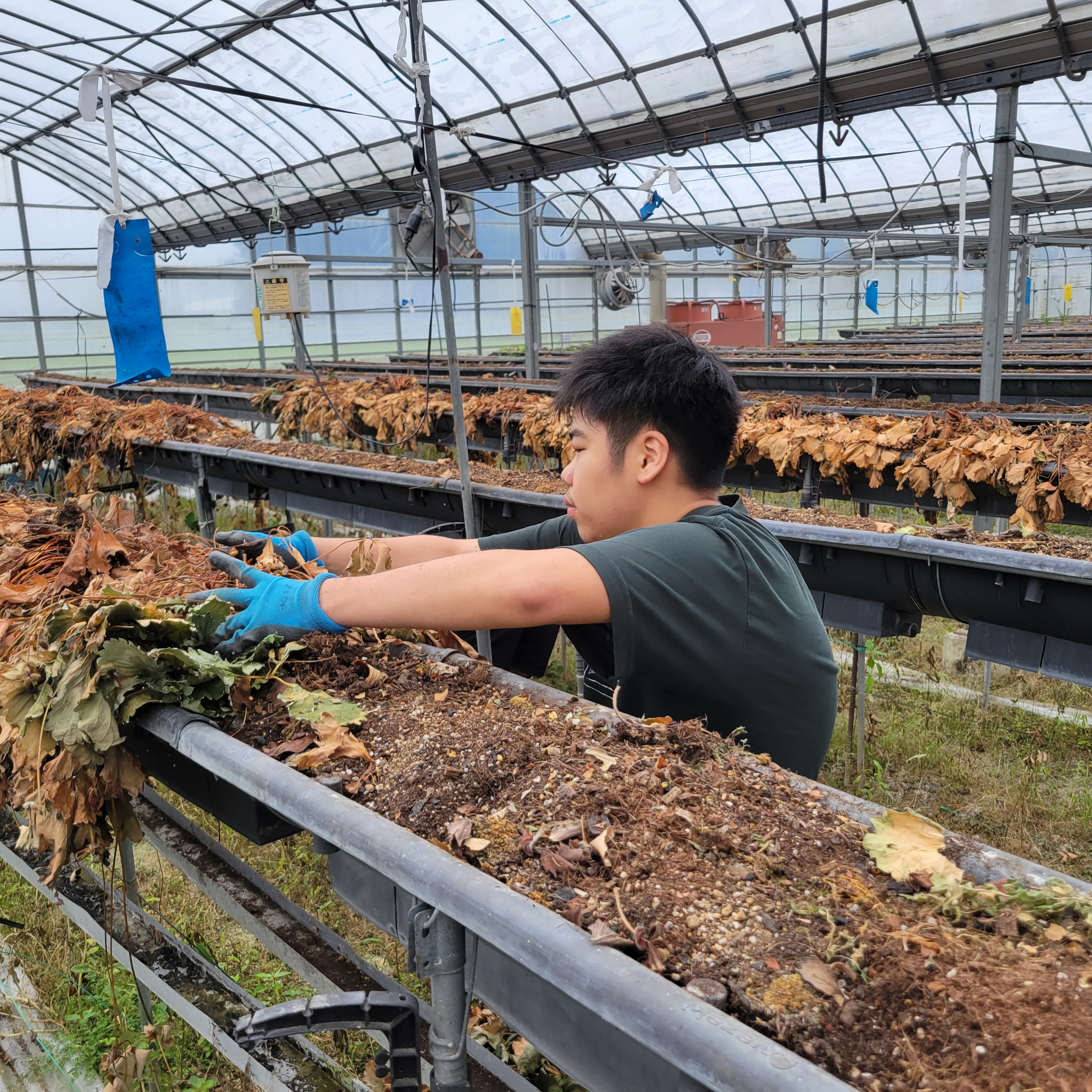 地域農家との共同作業が生み出す新たな自立の形