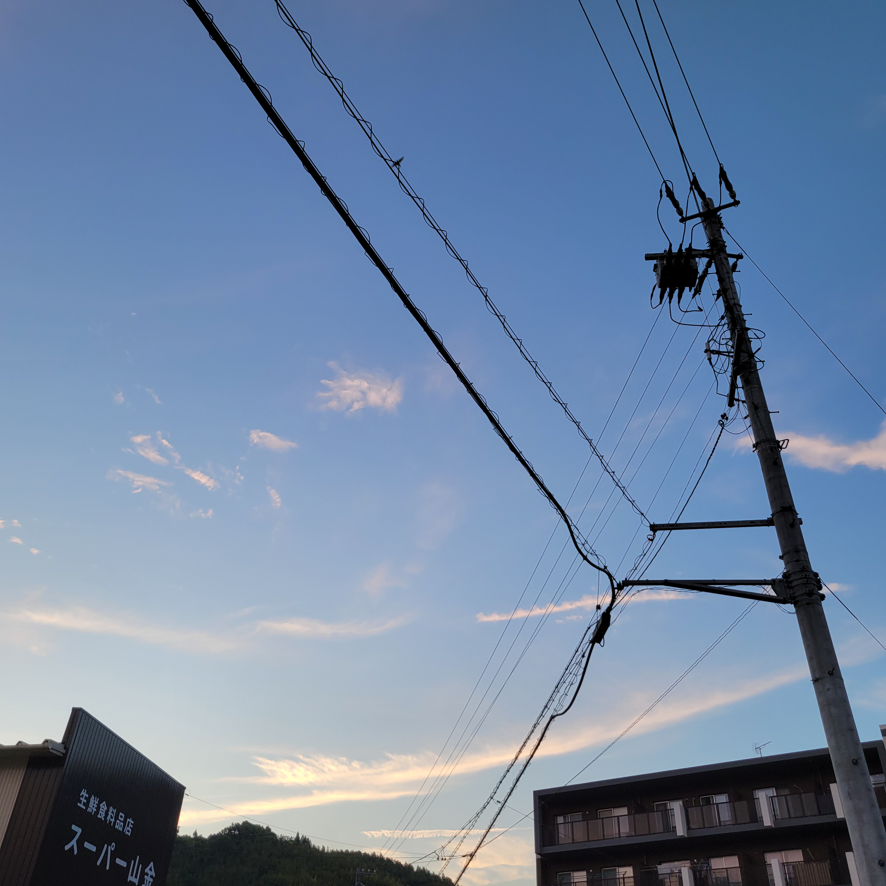 雨の日こそ心に光を！