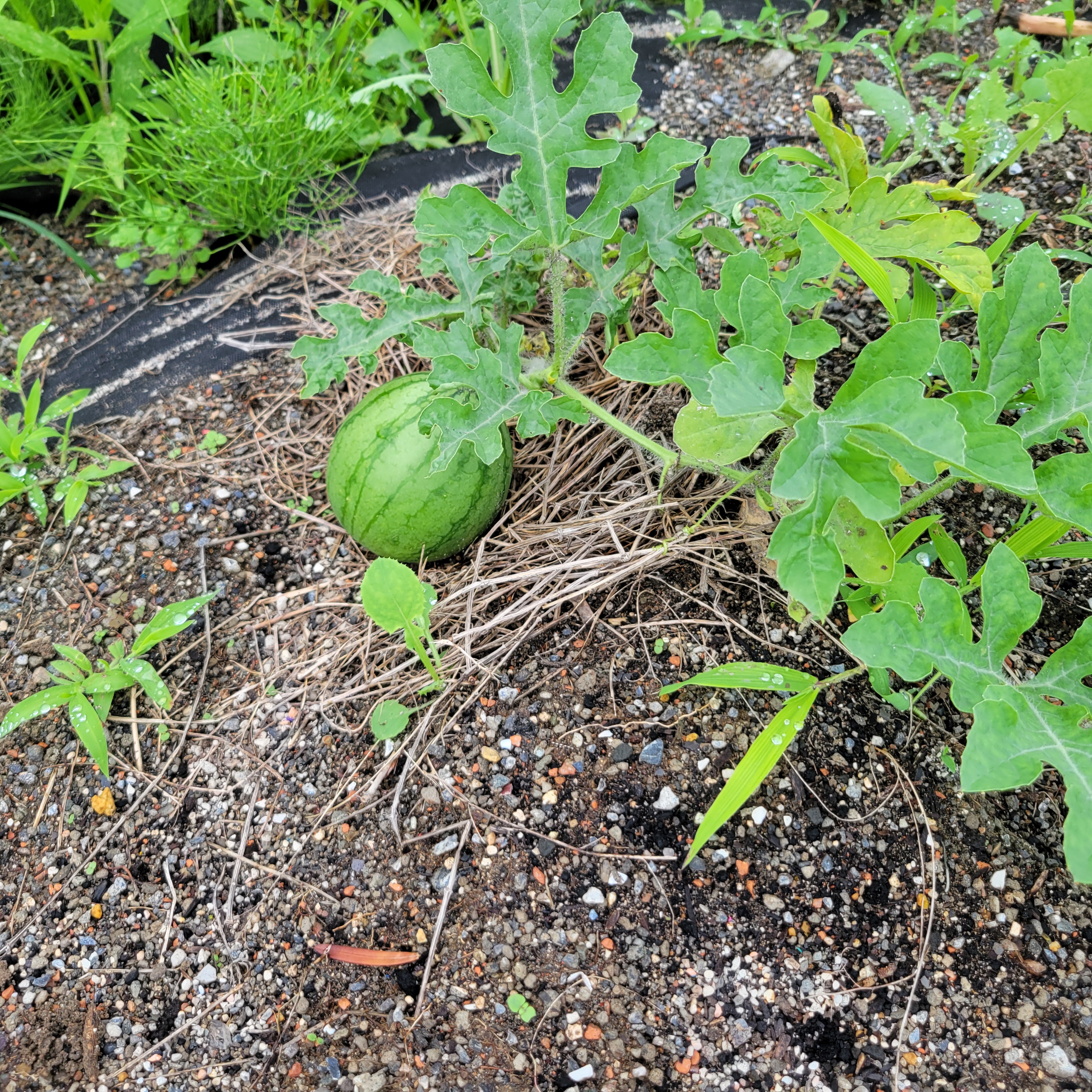 雨の日でも笑顔で過ごせる、外とつながる仕事の仕方