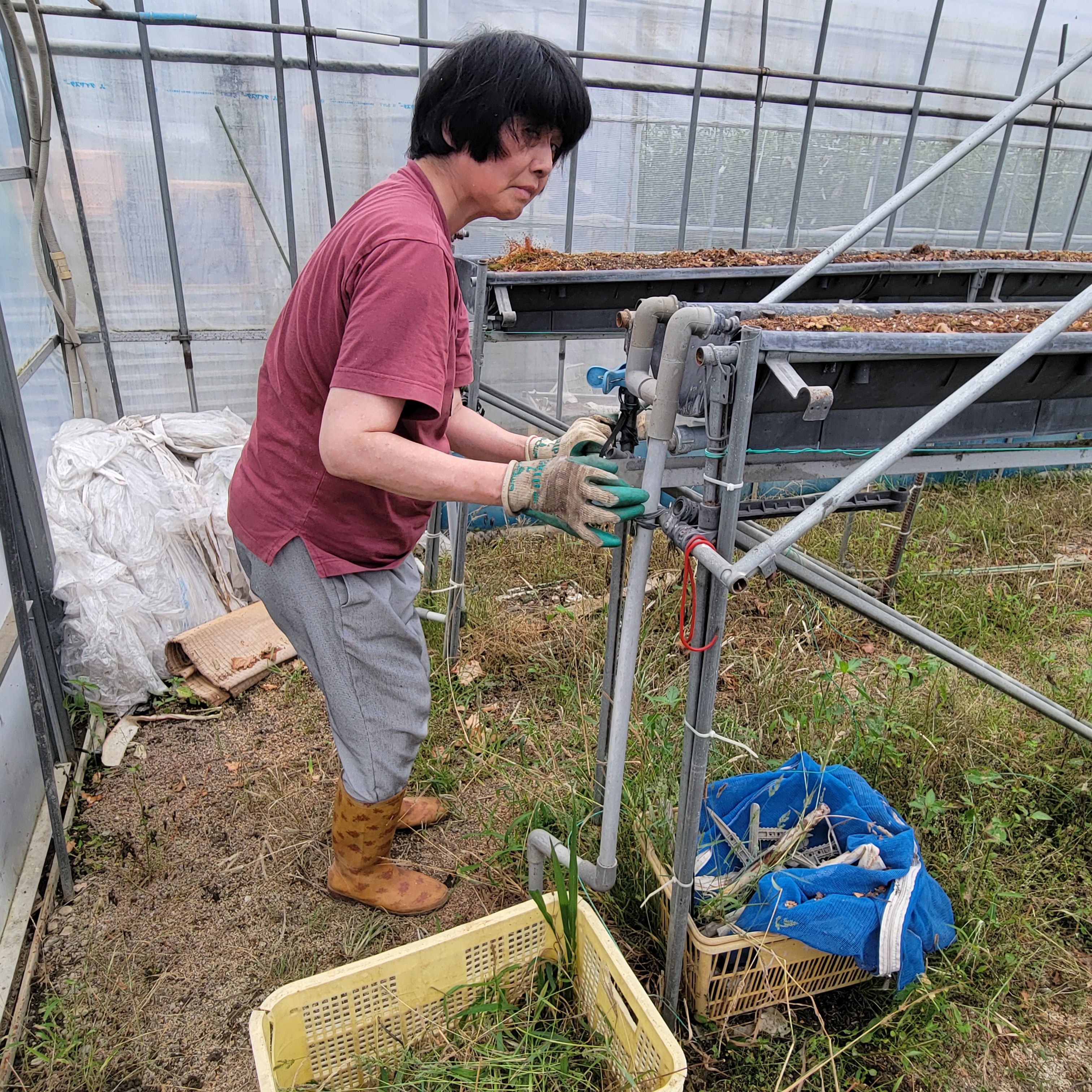 社会参加を促す取り組み