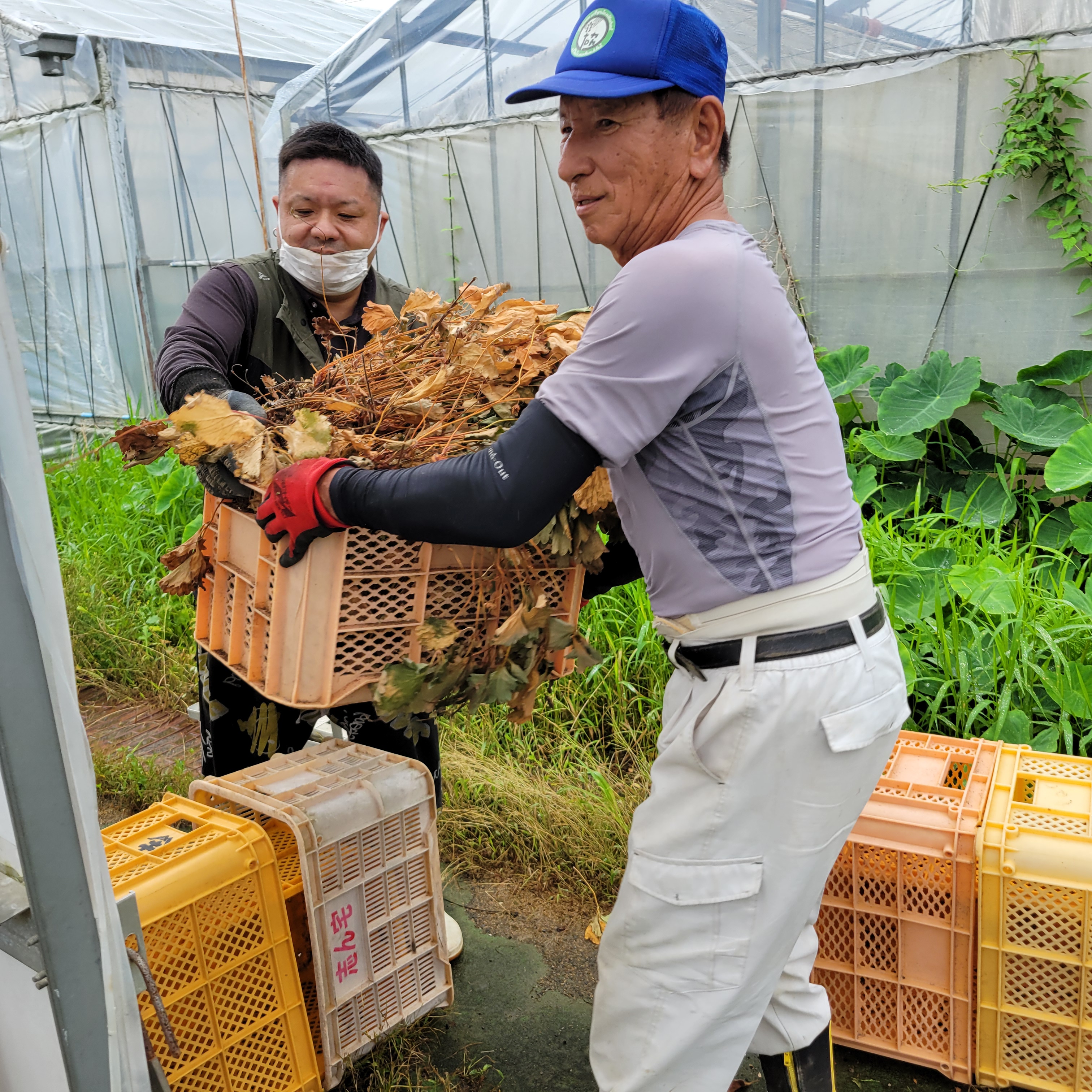 農業で心も体も元気に！地域交流とともに充実した日々を。