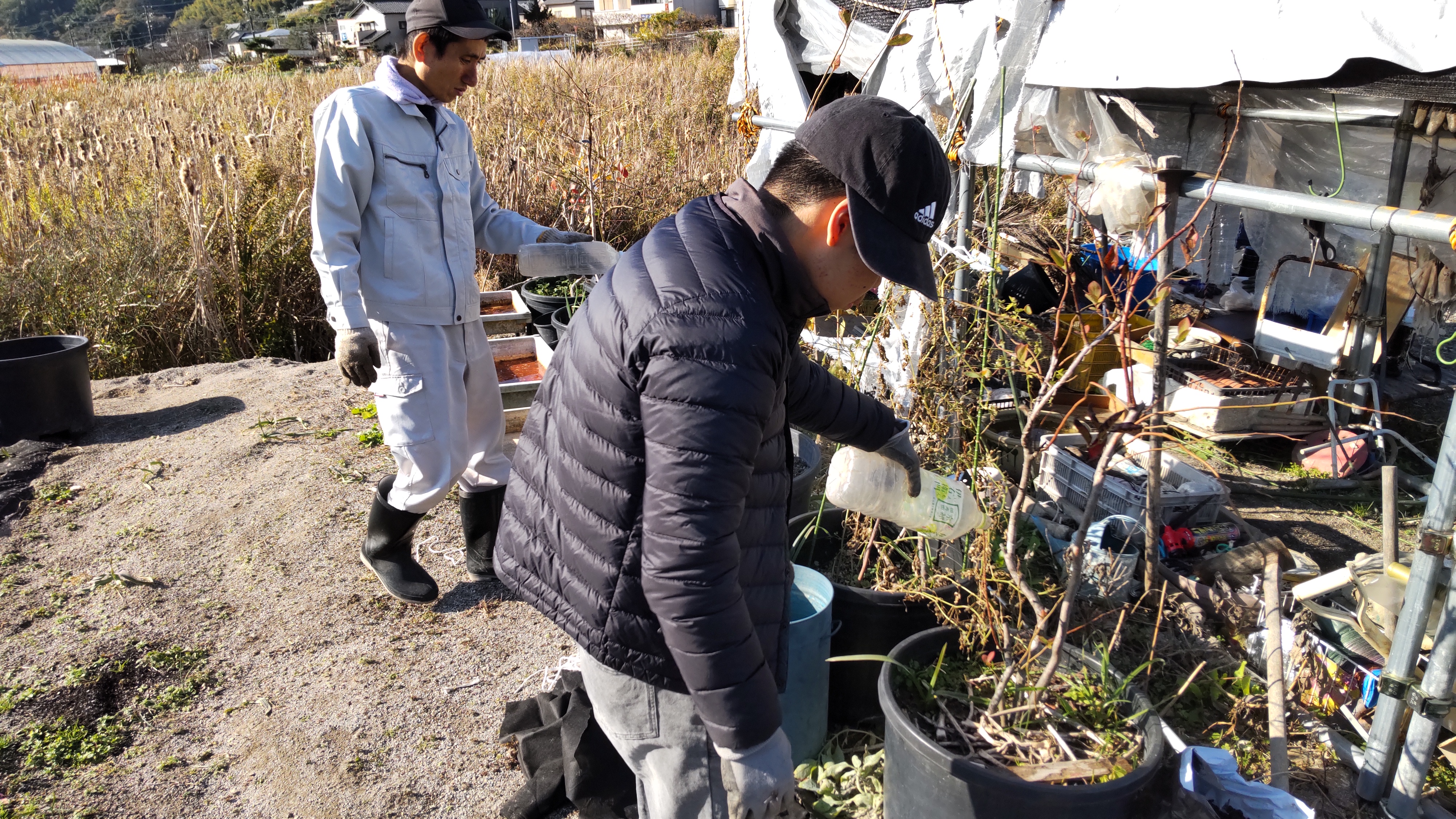親なき後も安心して働ける場所、食事支援が光る農業体験