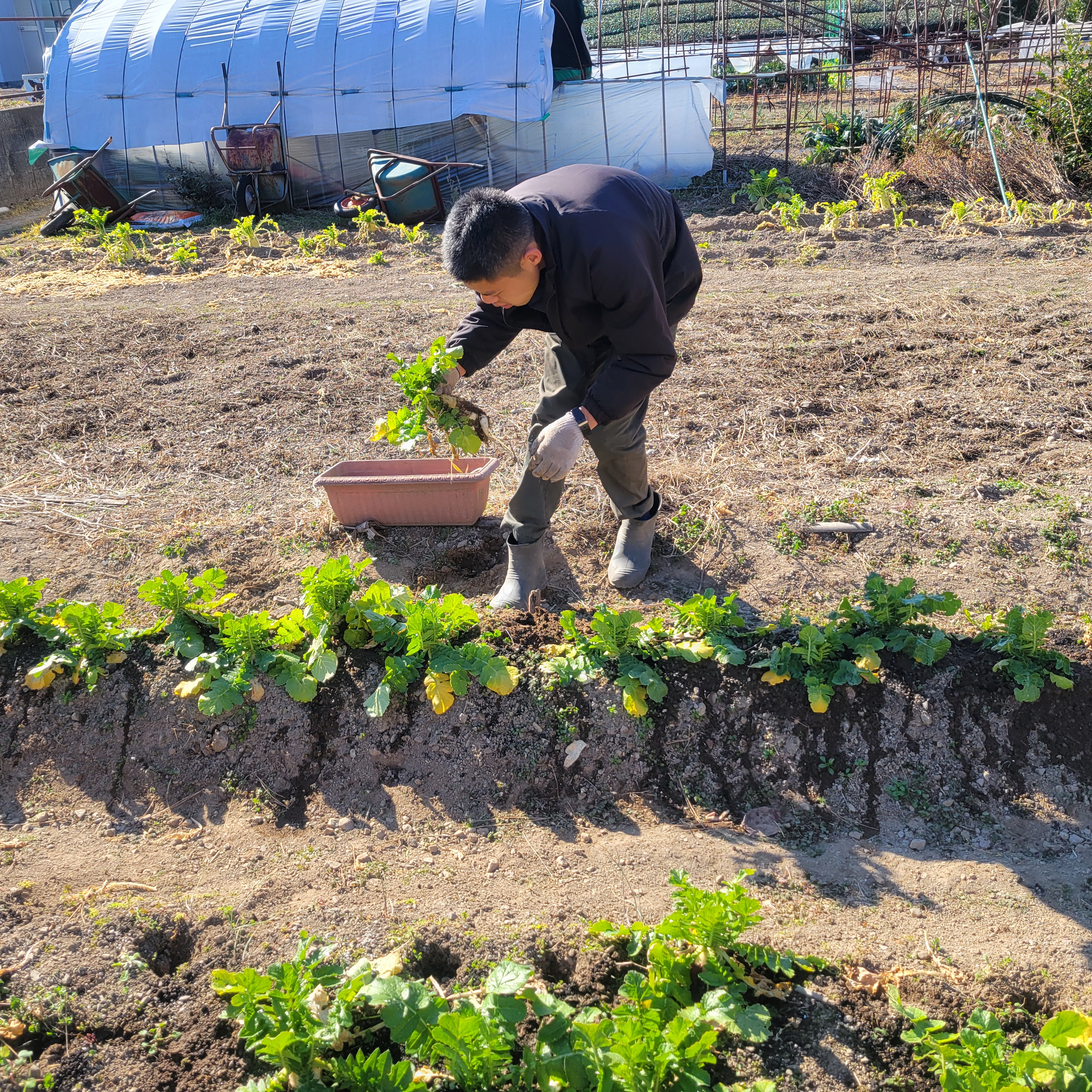 多様な作業内容の紹介