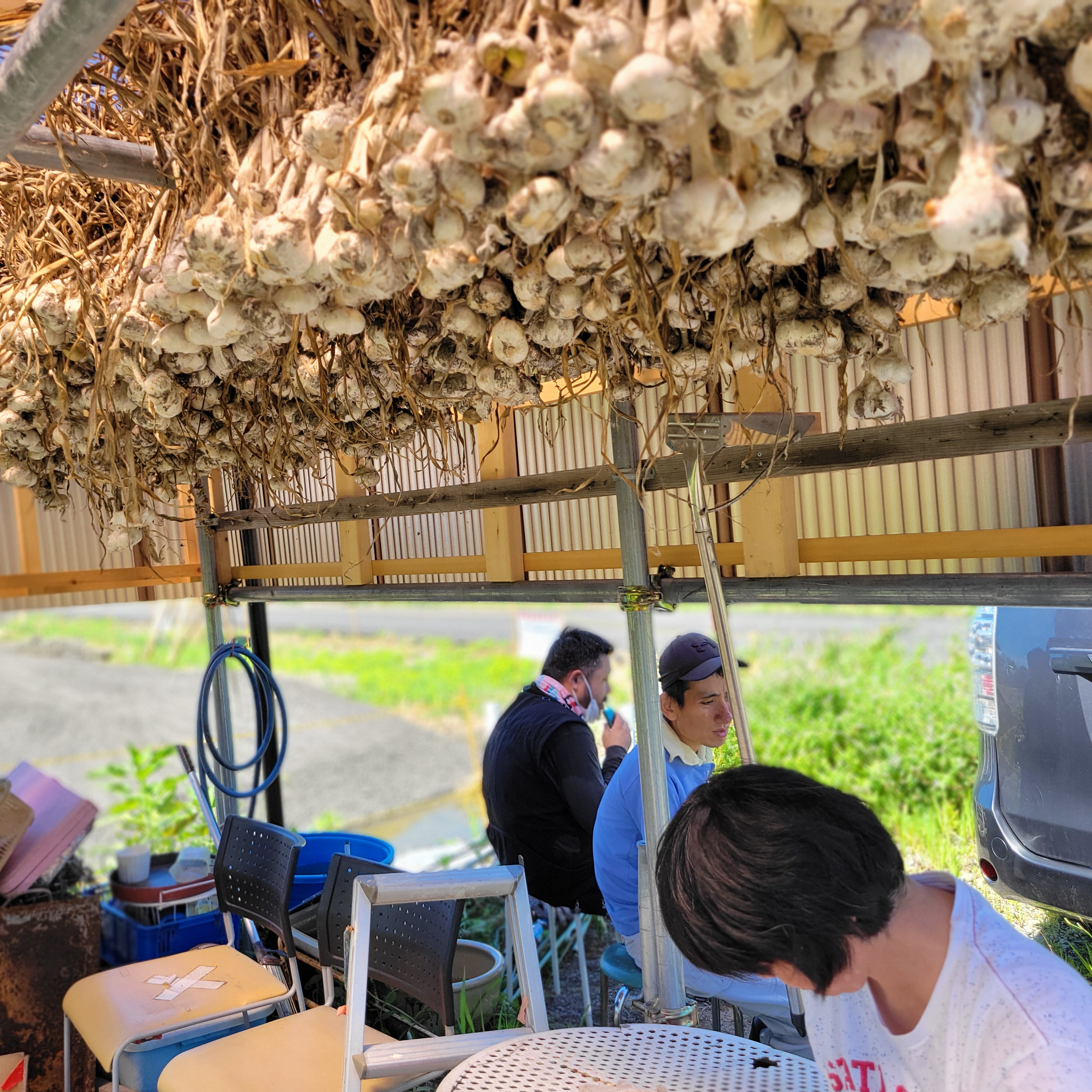 手芸や農作業で、自分らしいスキルを手に入れる！