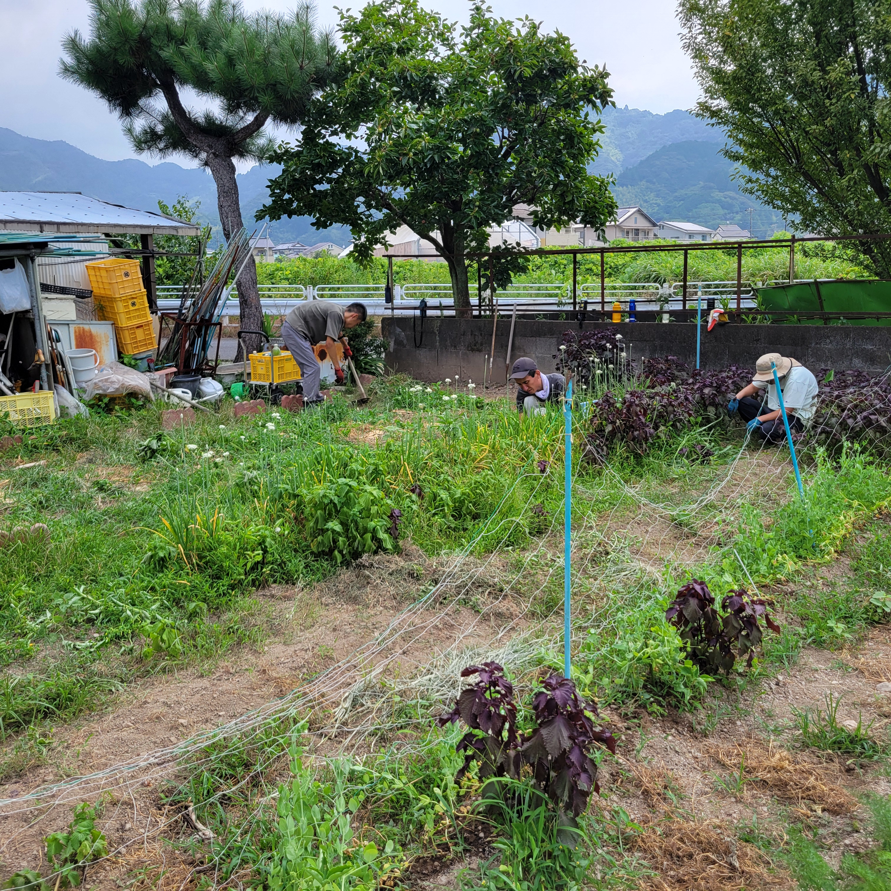 心の健康を支え、農作業を楽しむ！心豊かな生活を支援します