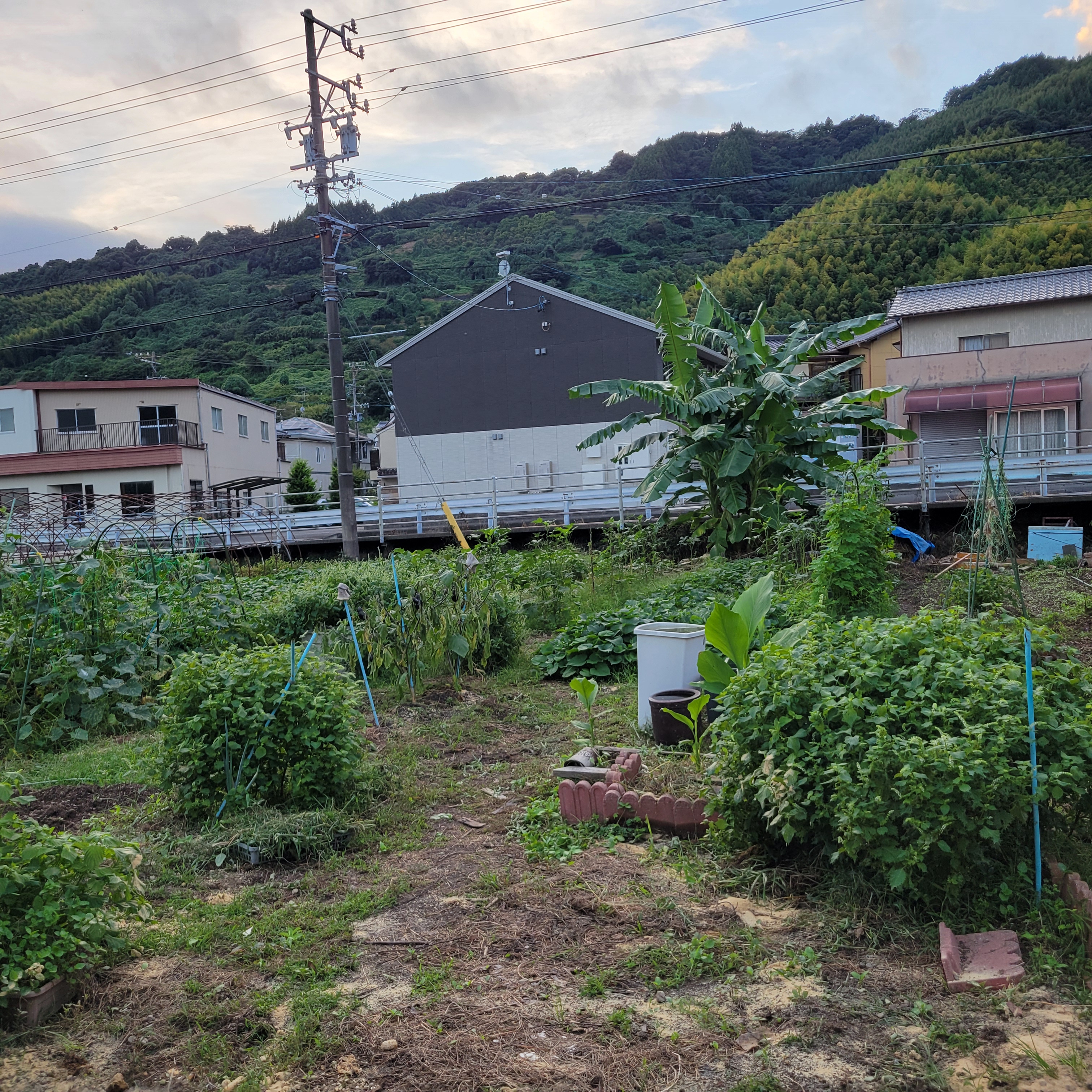 地域に密着した活動と仲間とのつながり