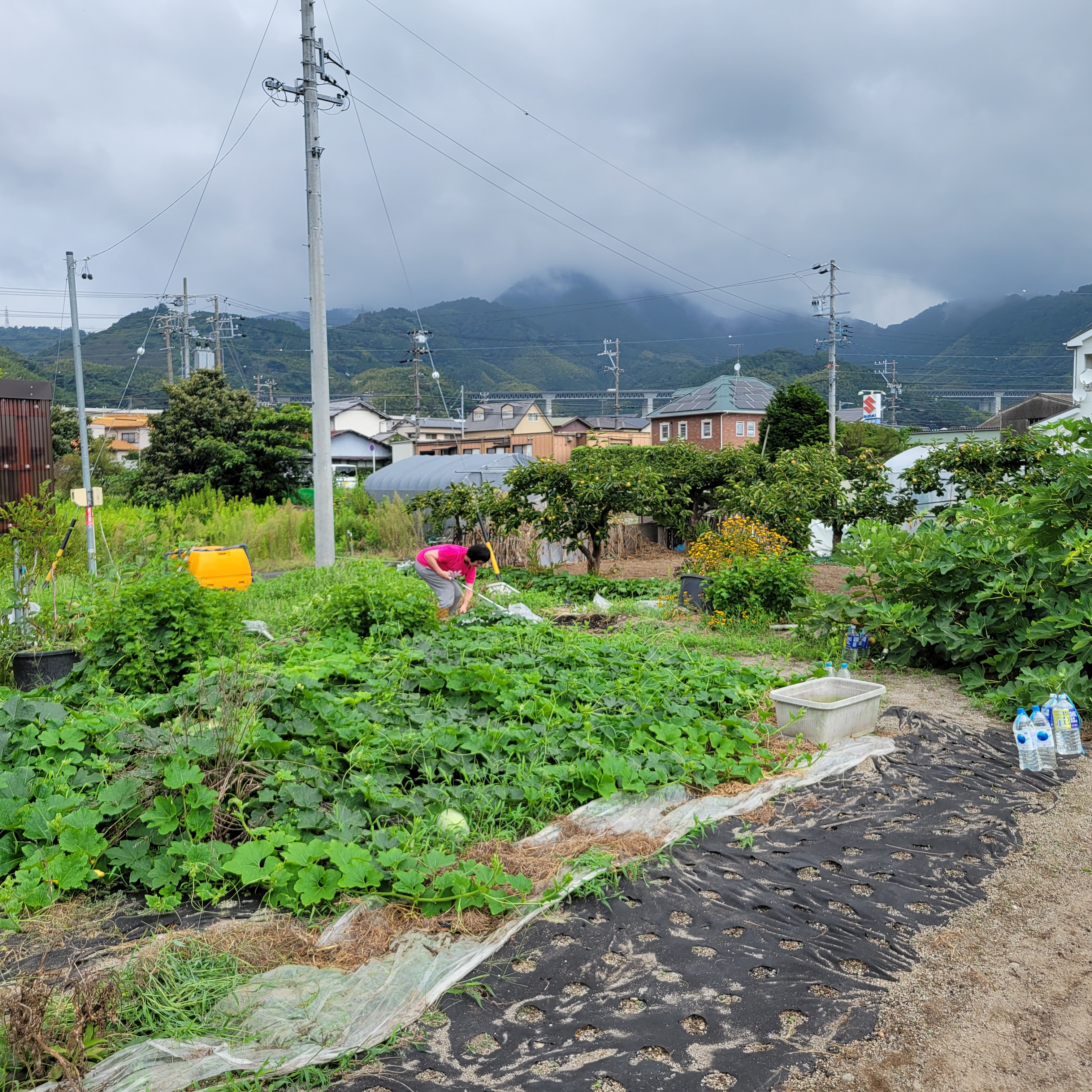 心をつなぐ地域の支え