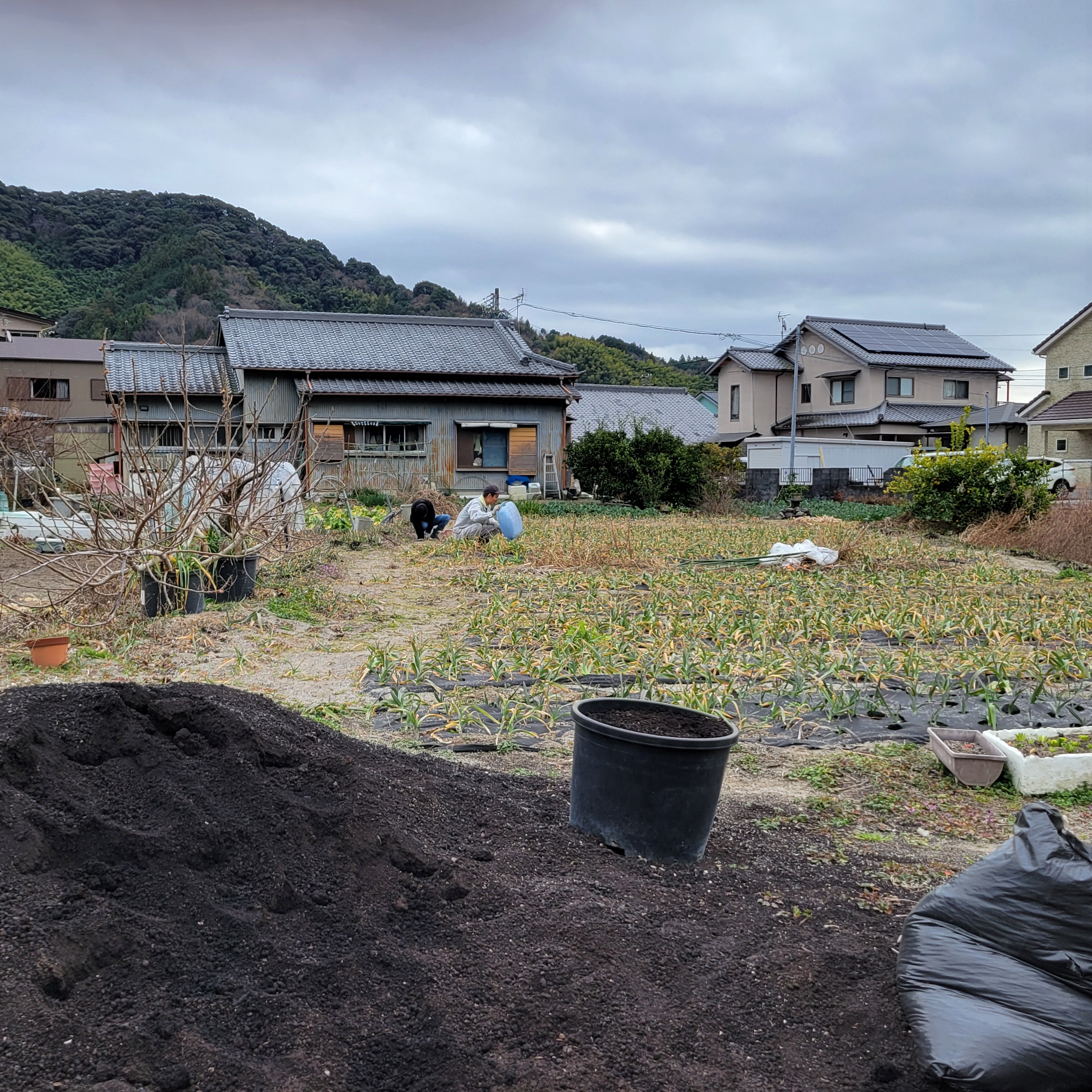 自立支援への取り組み