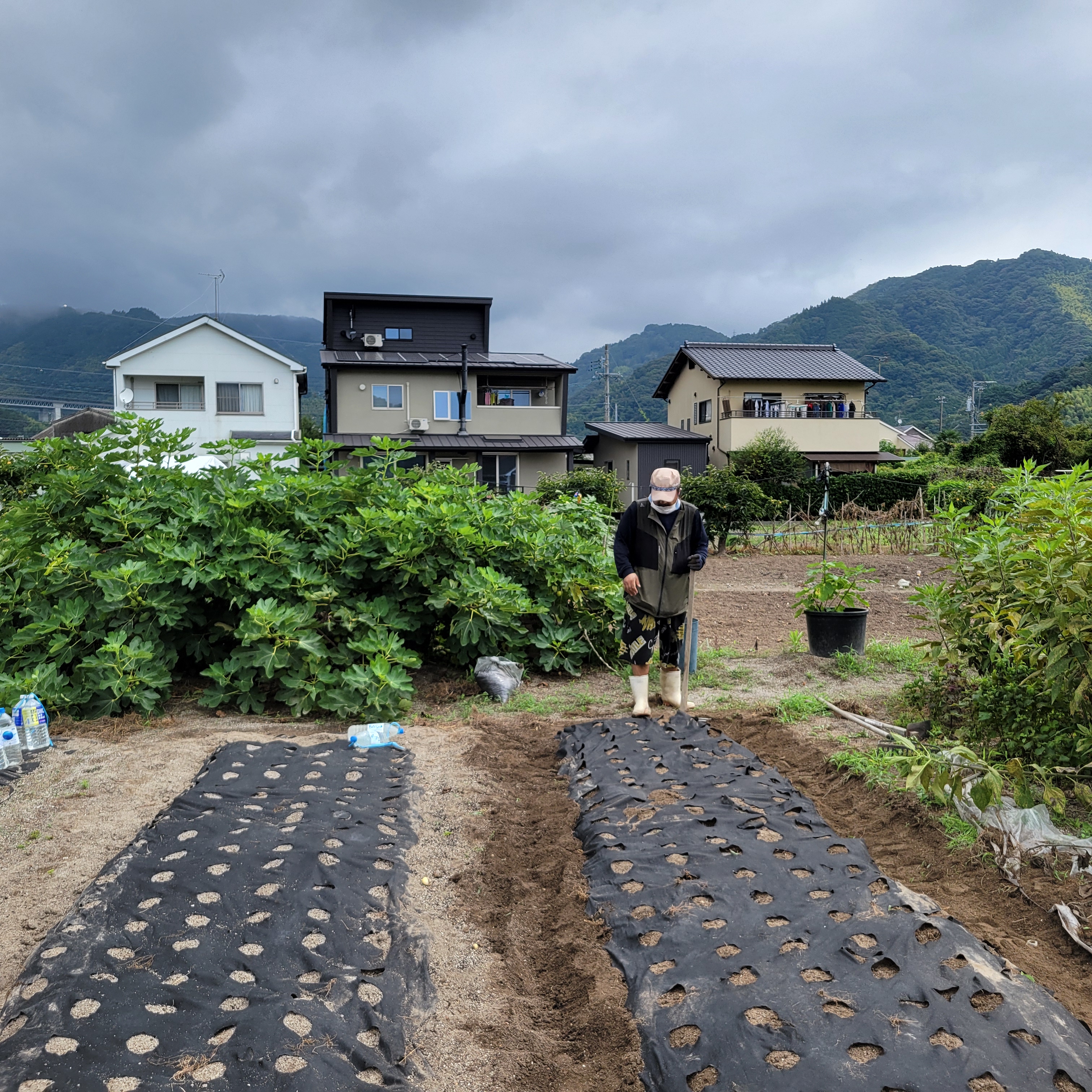心のケアの重要性