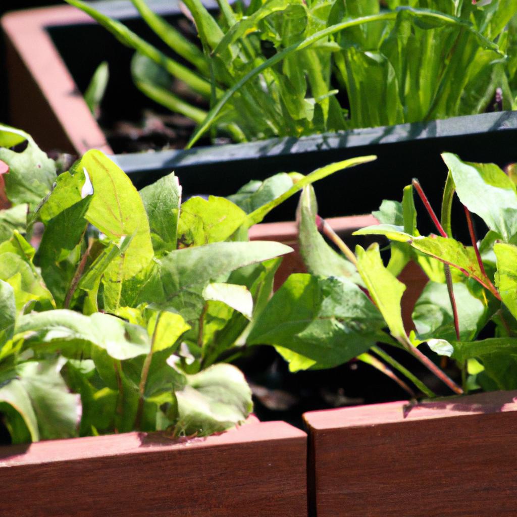 「農作業で、心身の健康と自立を育む！」
