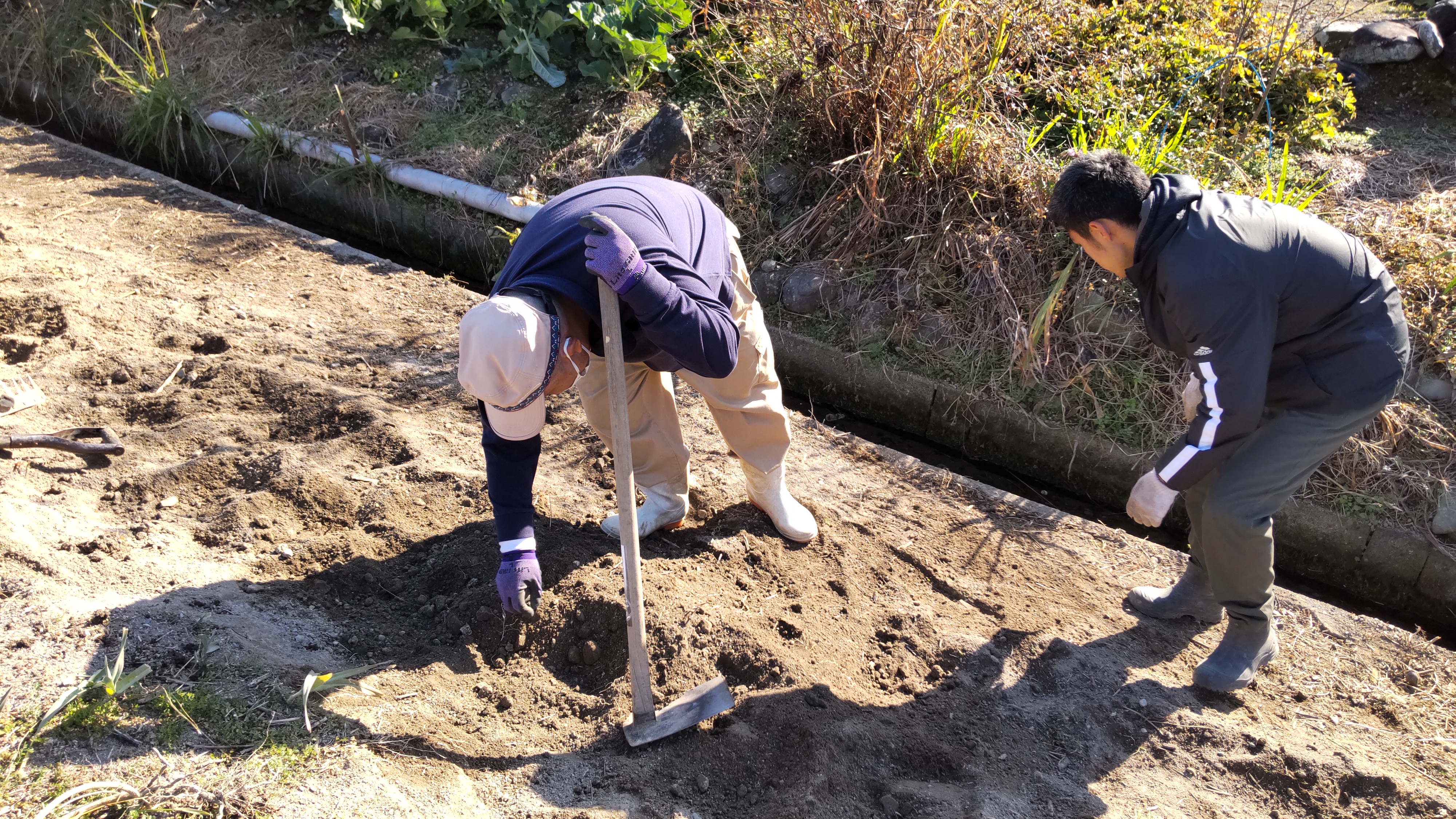 通いやすい障害者の働く場