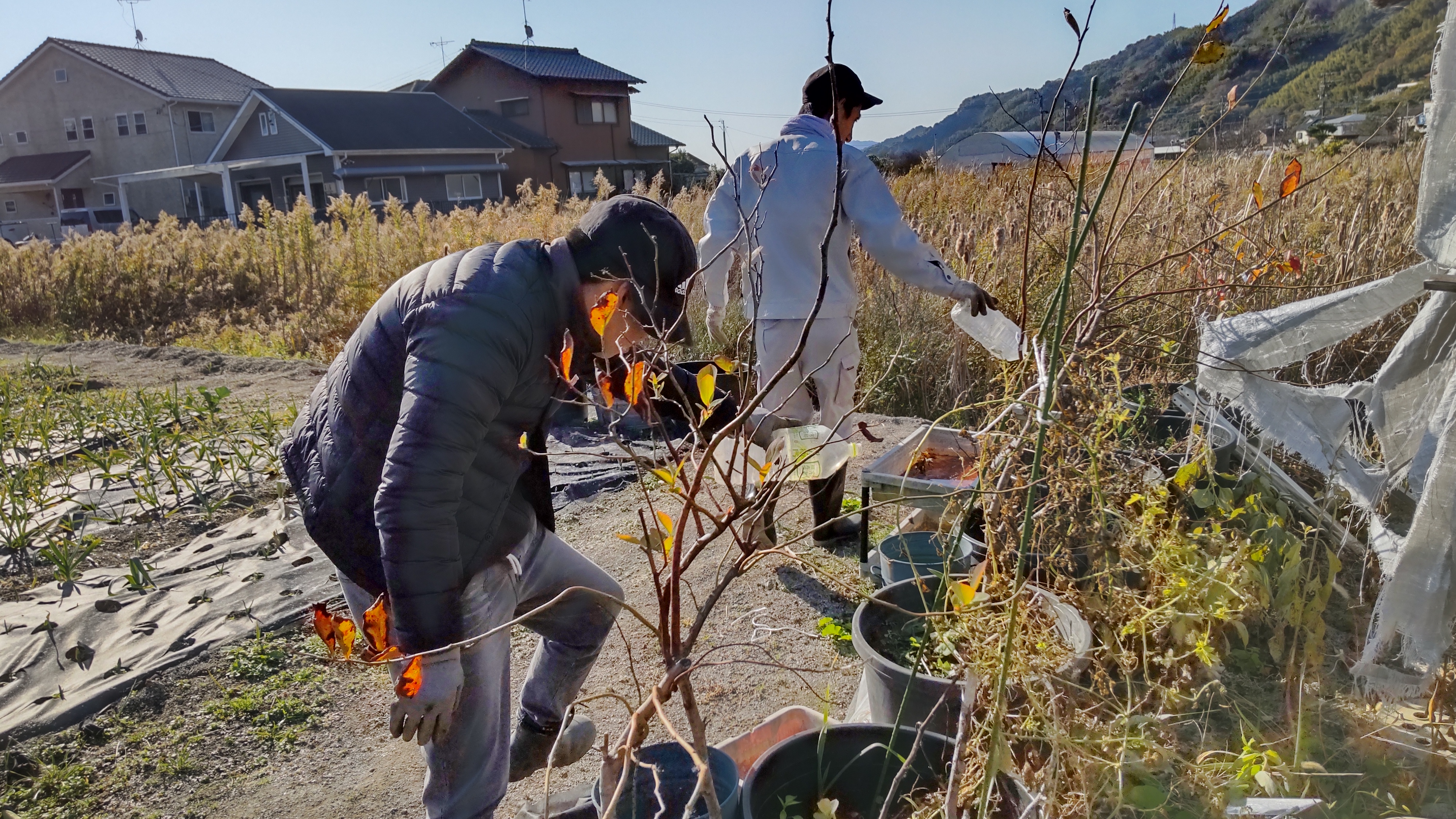 農業で心も体も元気に！