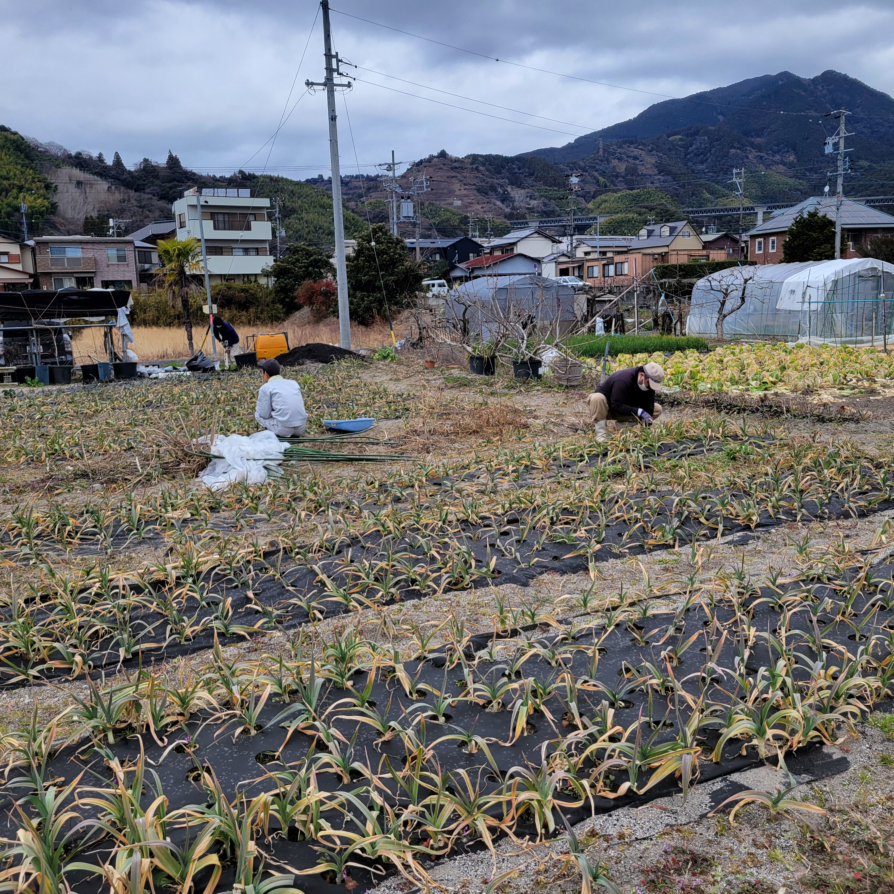 自立支援の仕組み