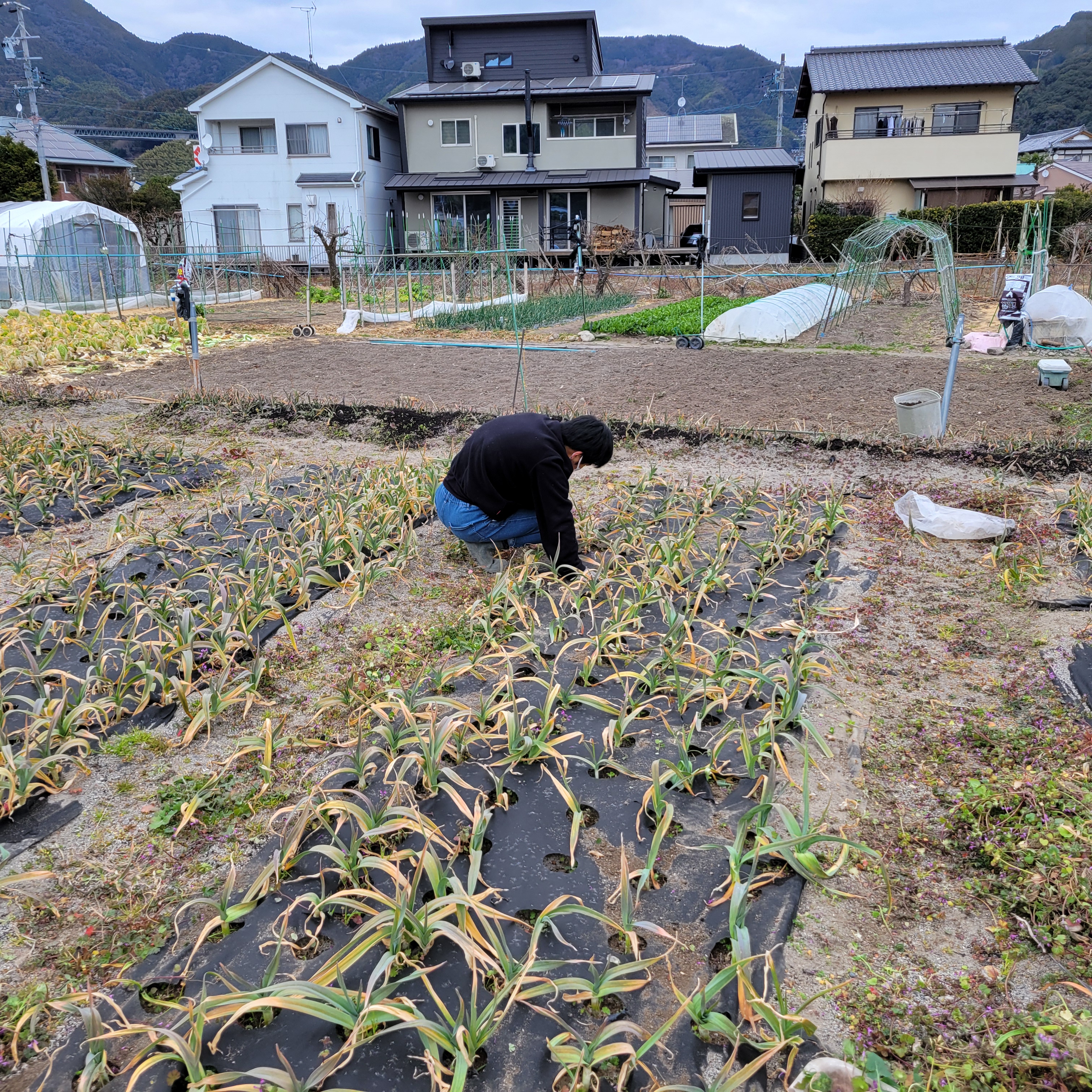 支援体制が整っている