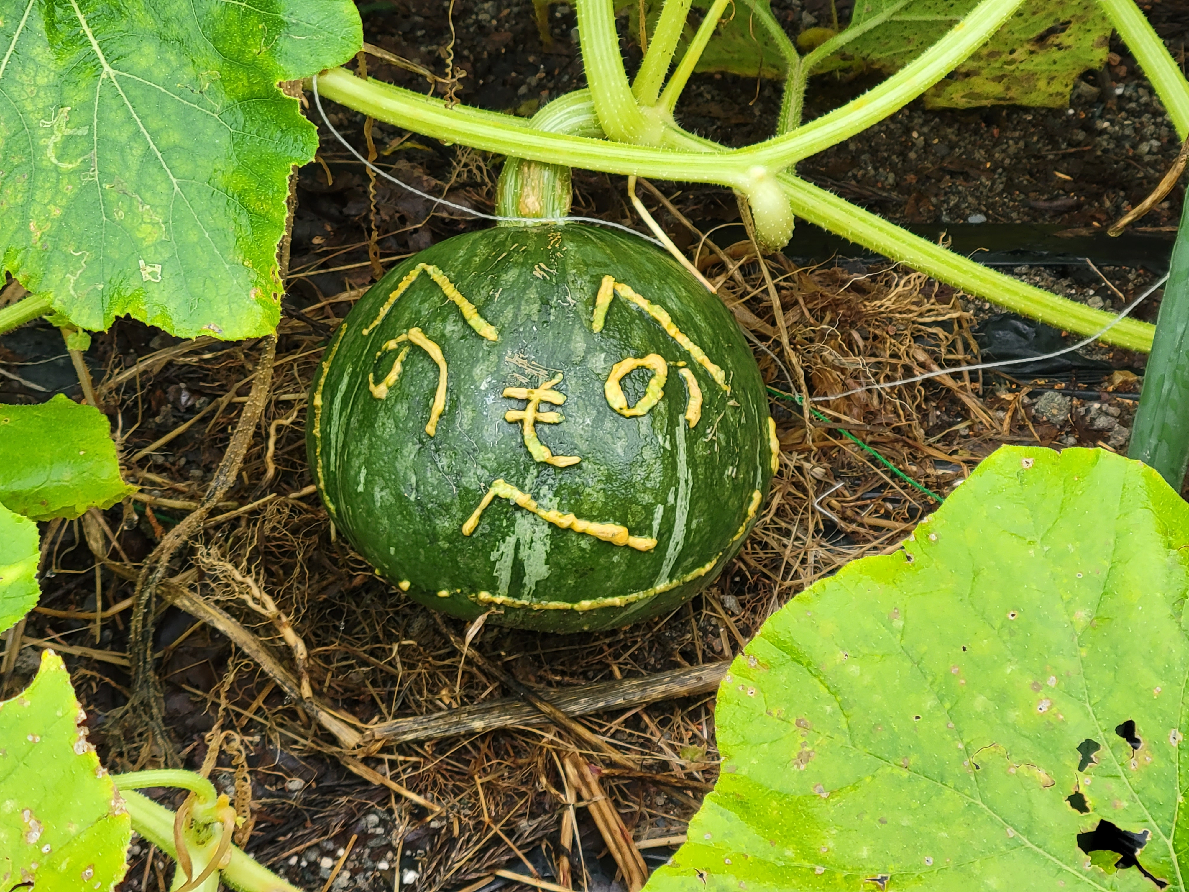 多様な作業支援