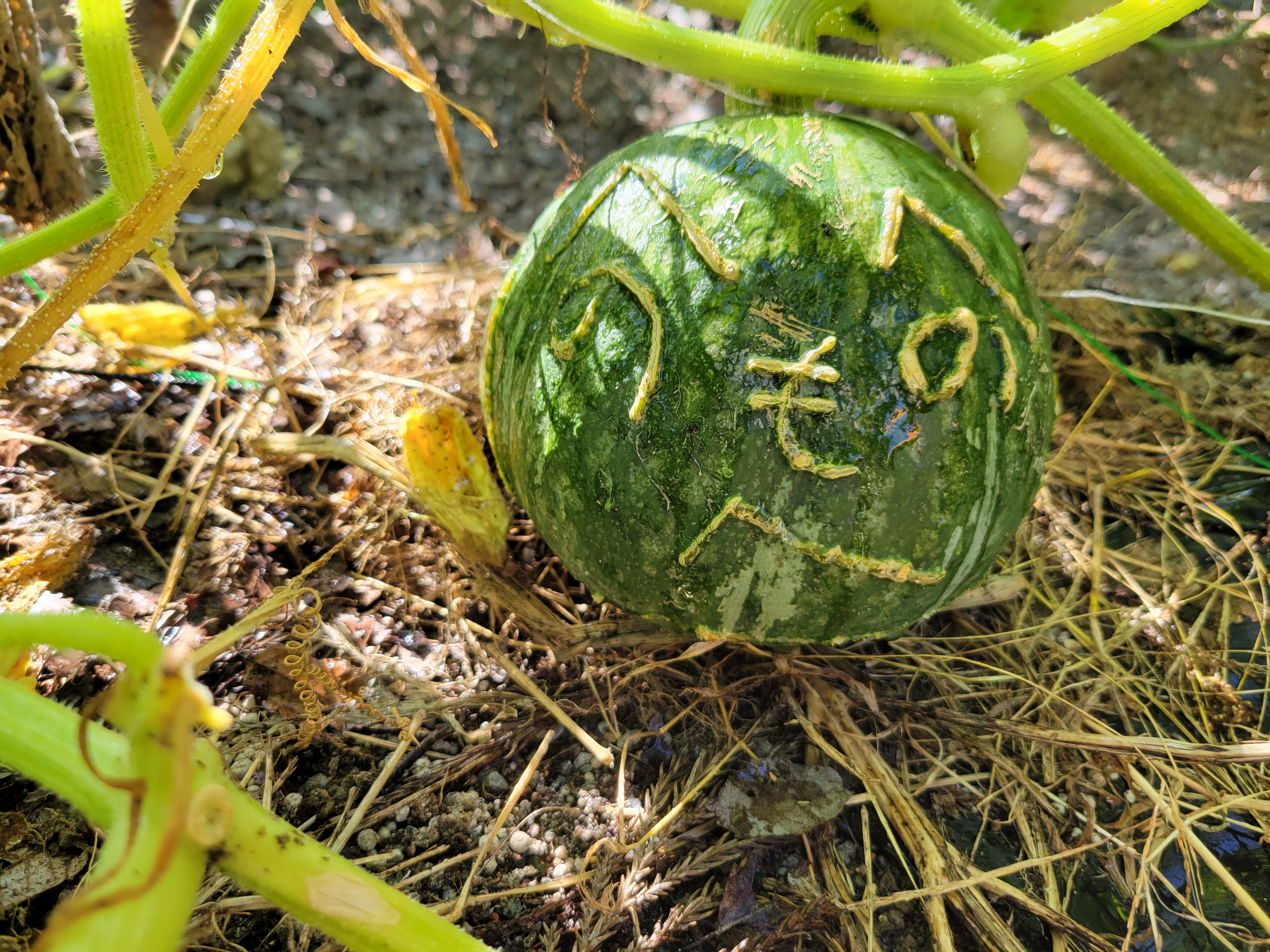 自立に向けた一歩