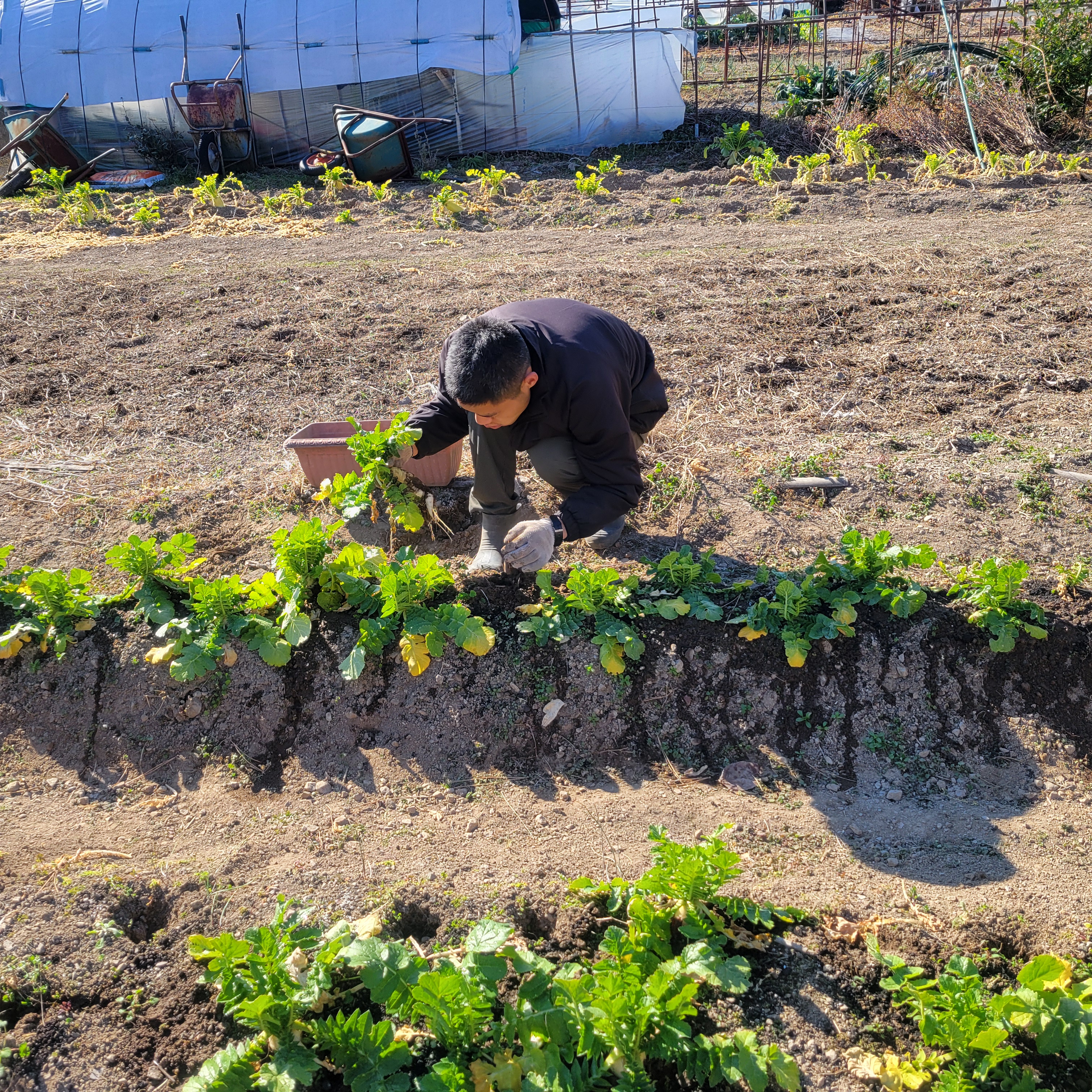 安心できるボランティア活動の場
