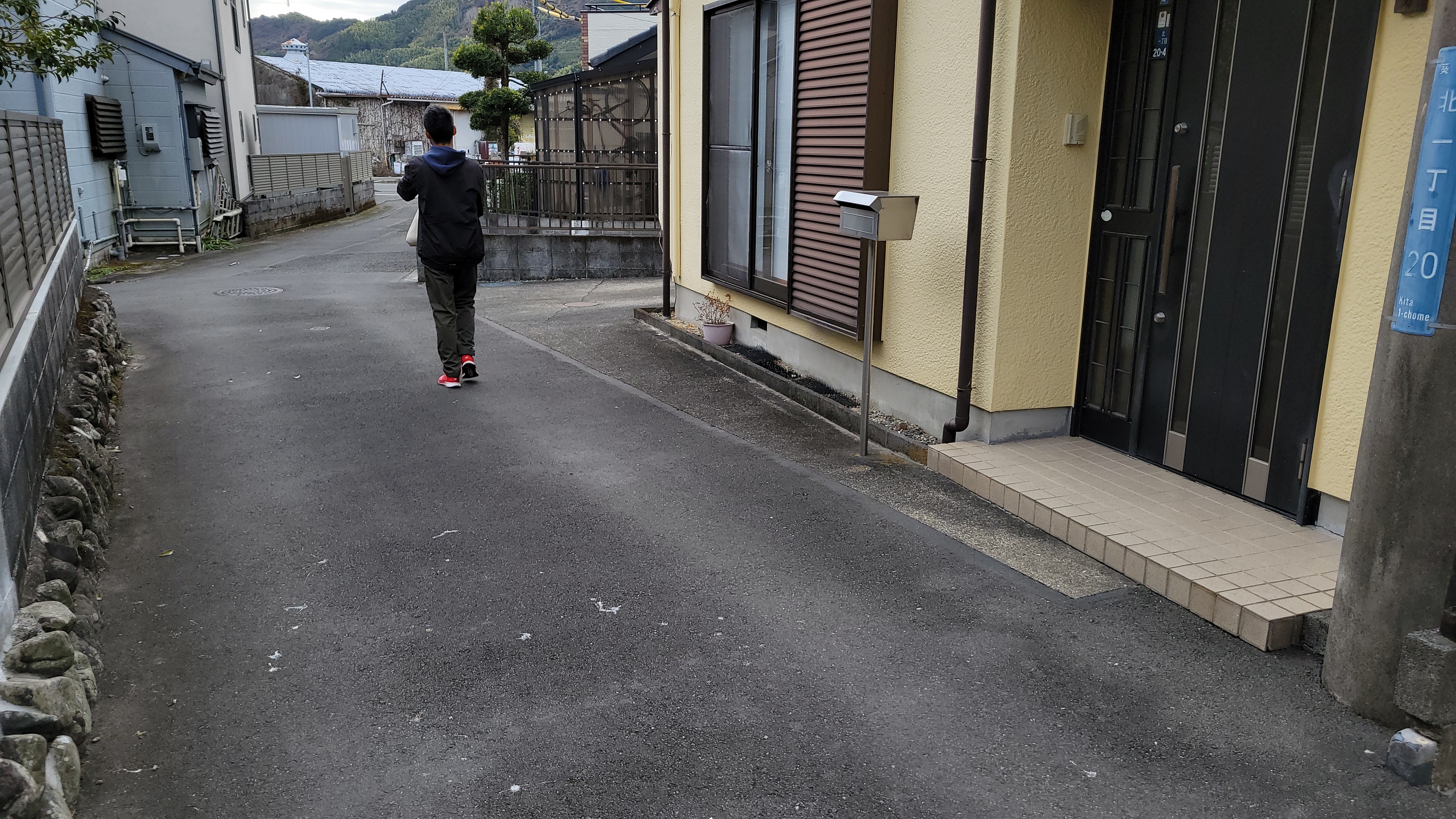 具体的な活動内容