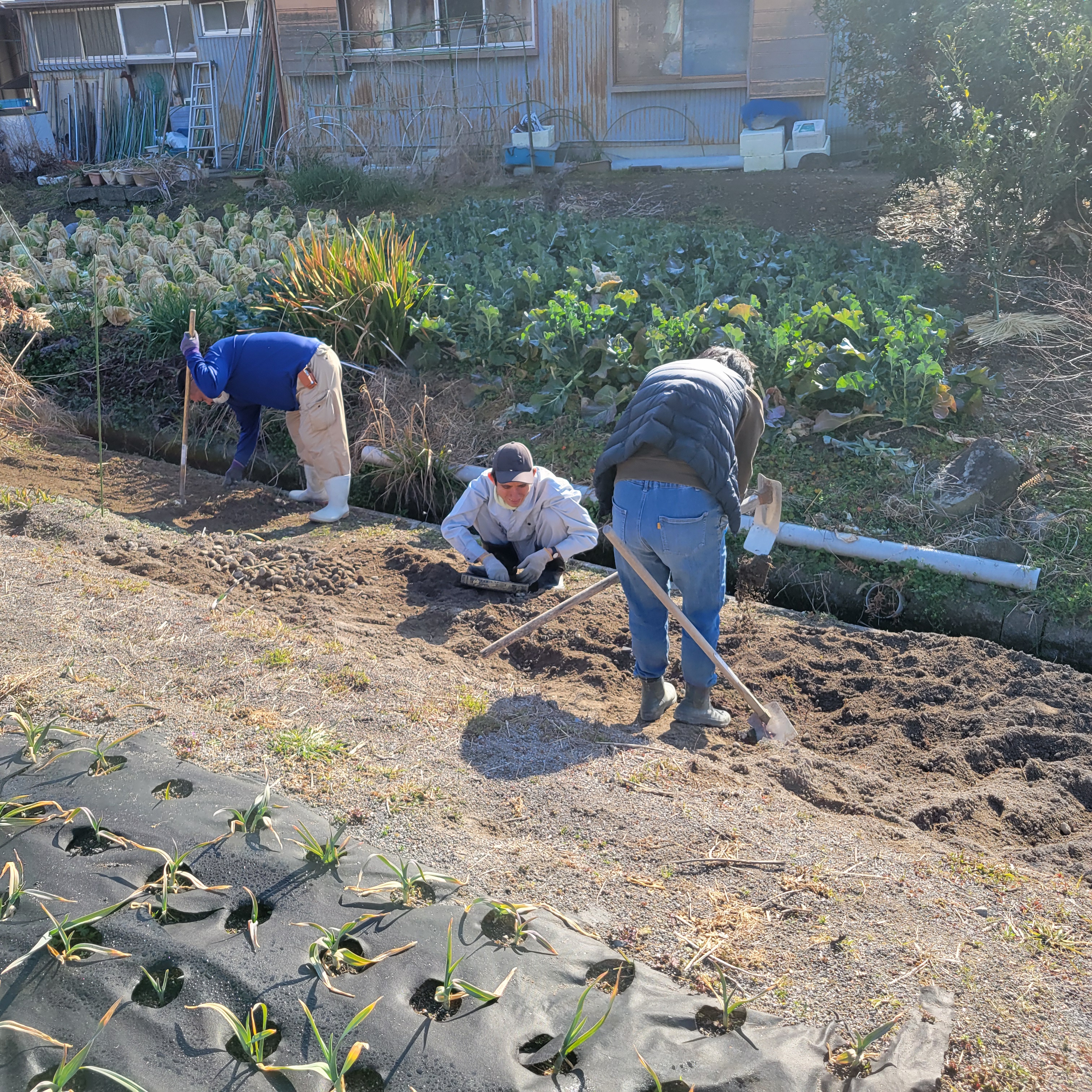 多様な作業内容で体験する成長