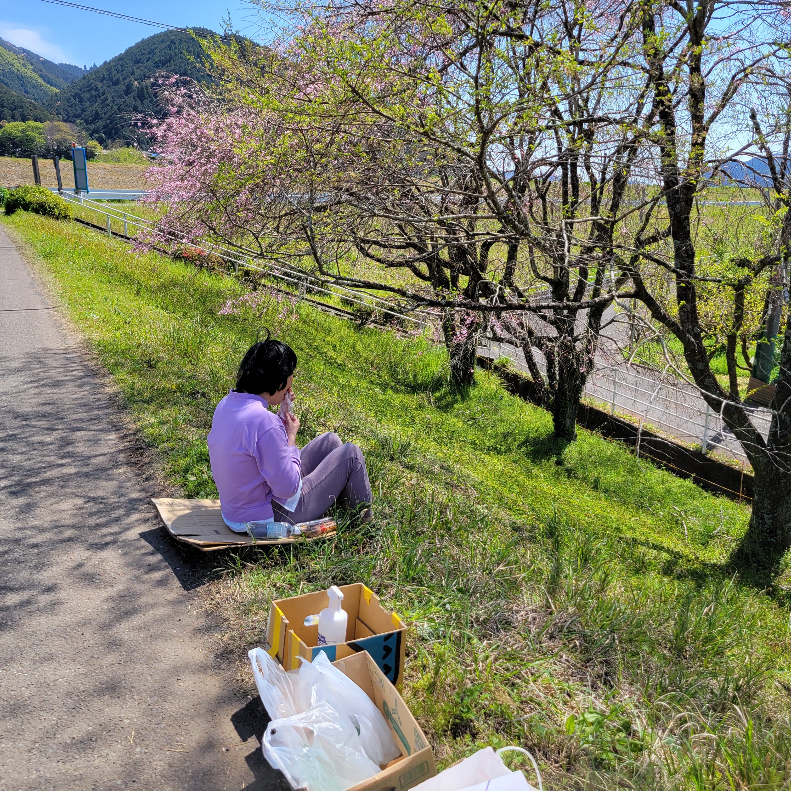お花見イベントの様子をお届け！