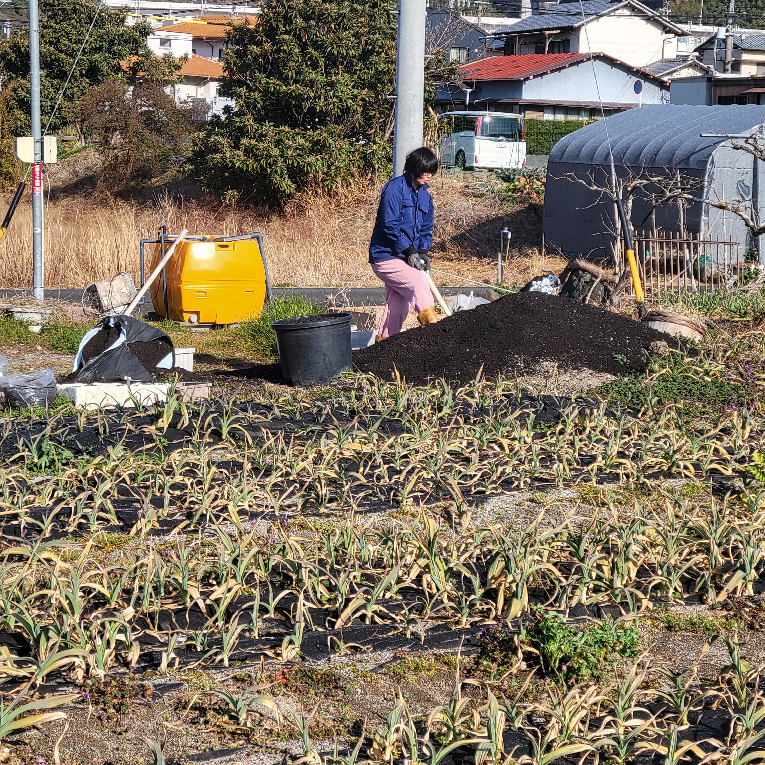 草取の後は様々な作業へ
