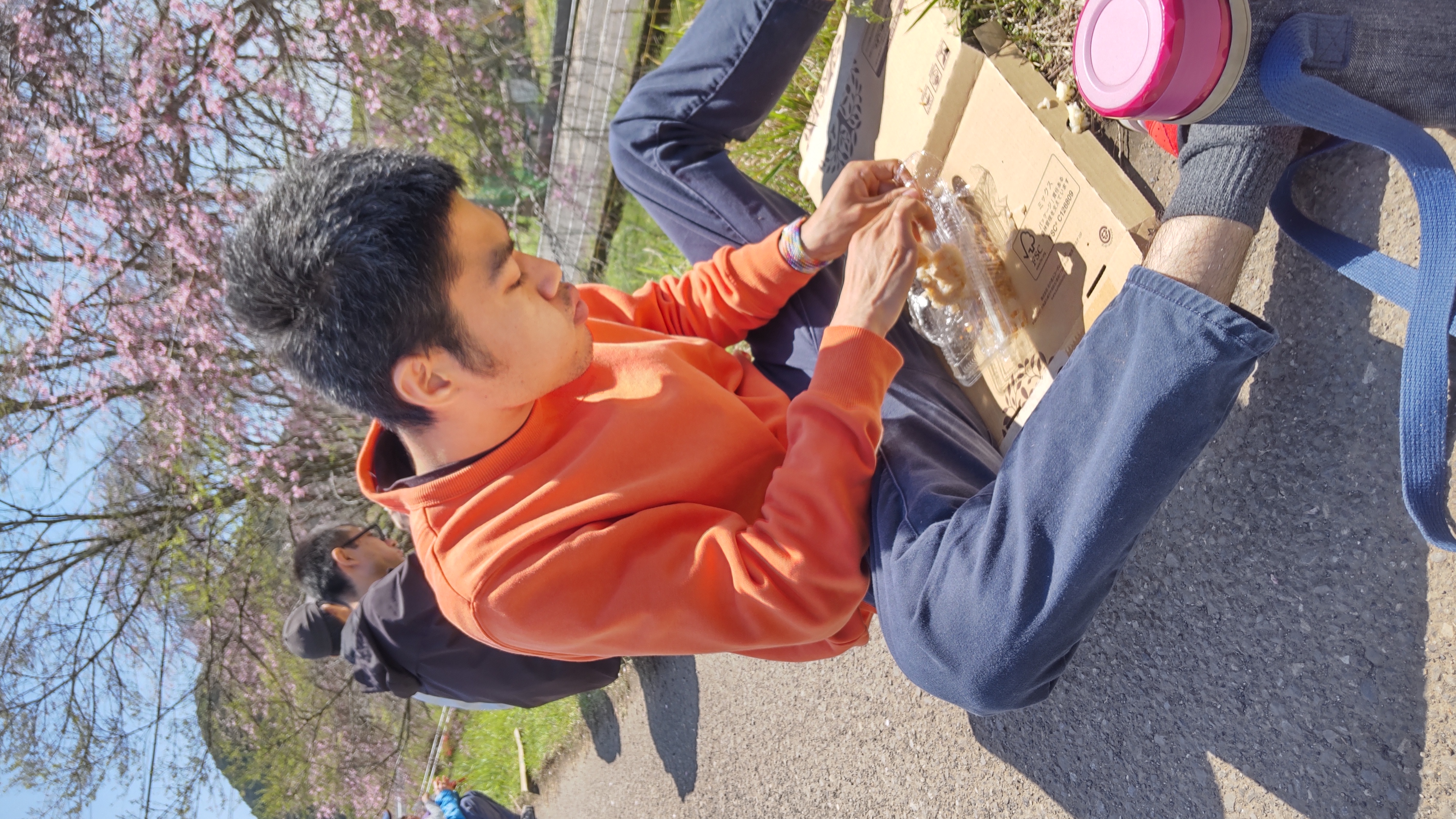 食事療法で体を整える