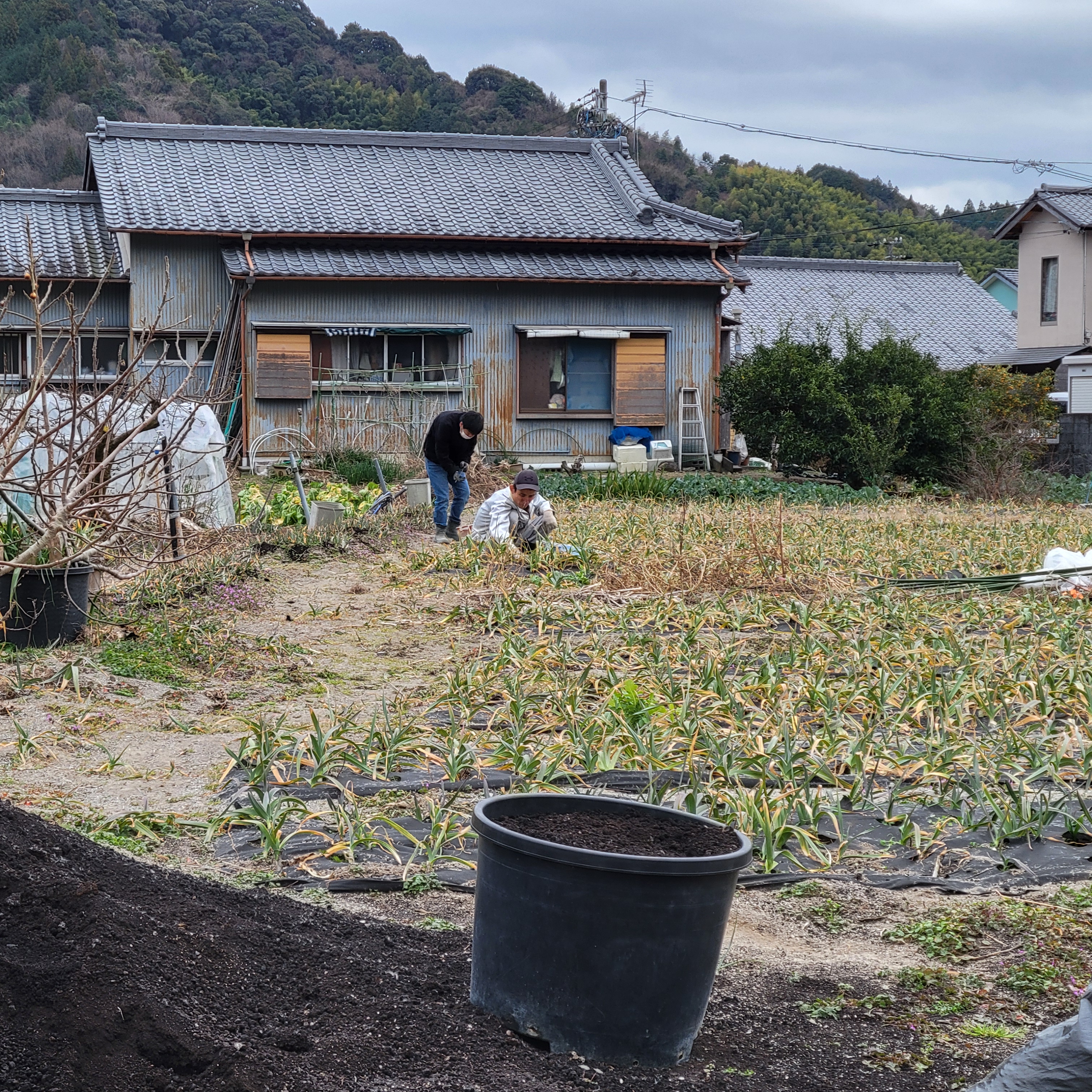 自立支援と働き方の新しい形