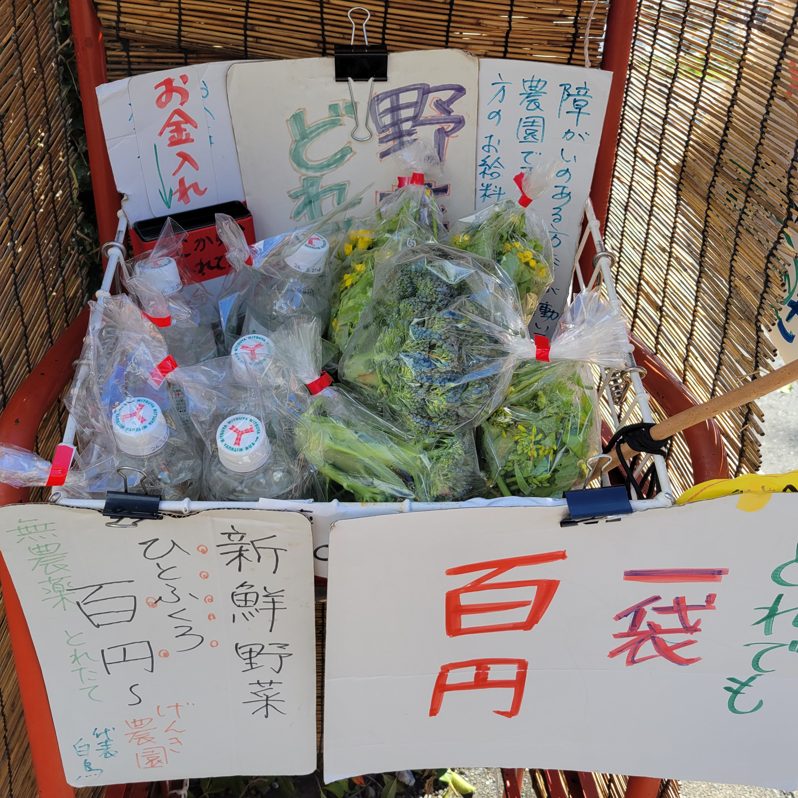 社会参加の重要性