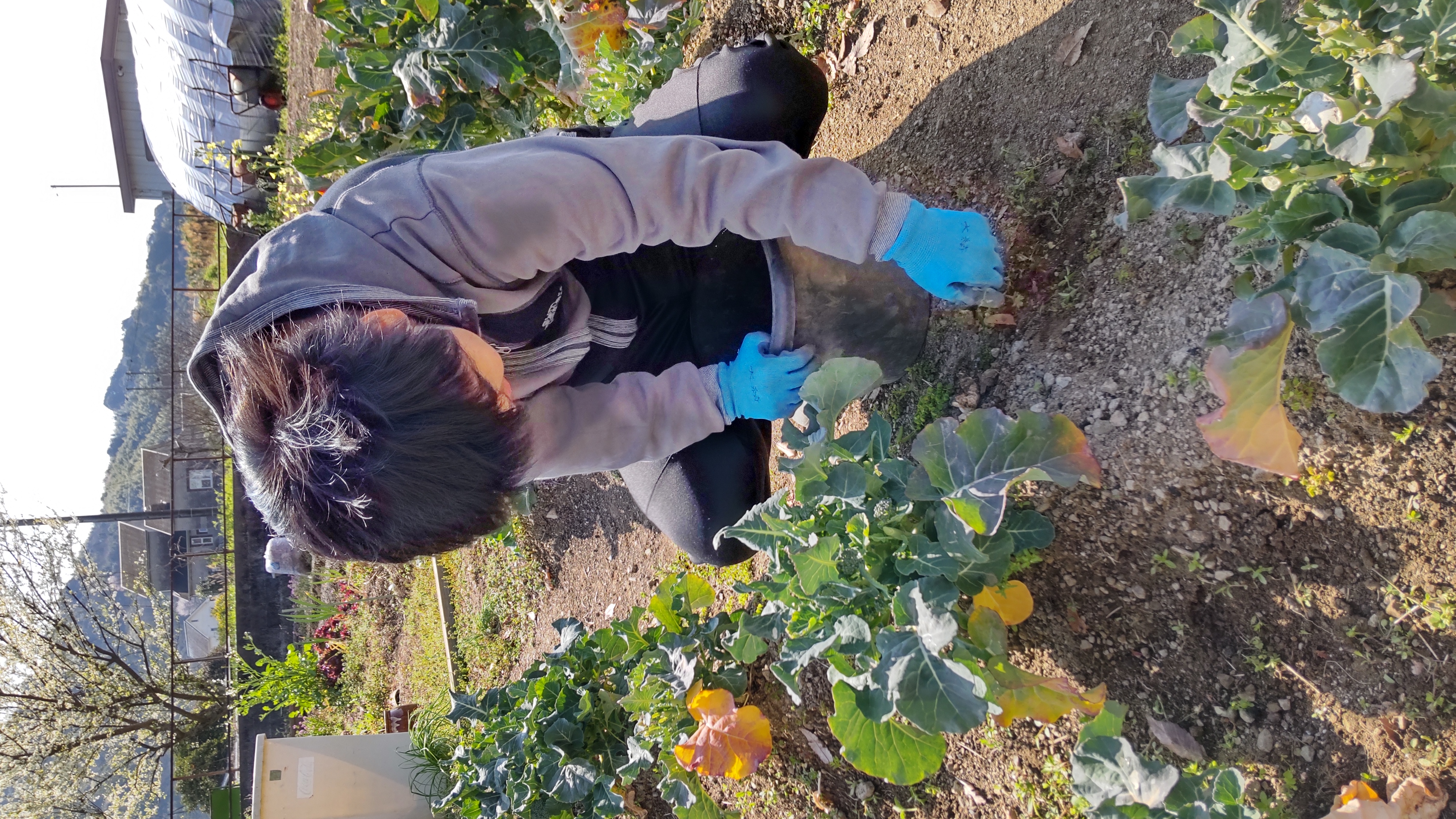 体験型の農作業プログラム